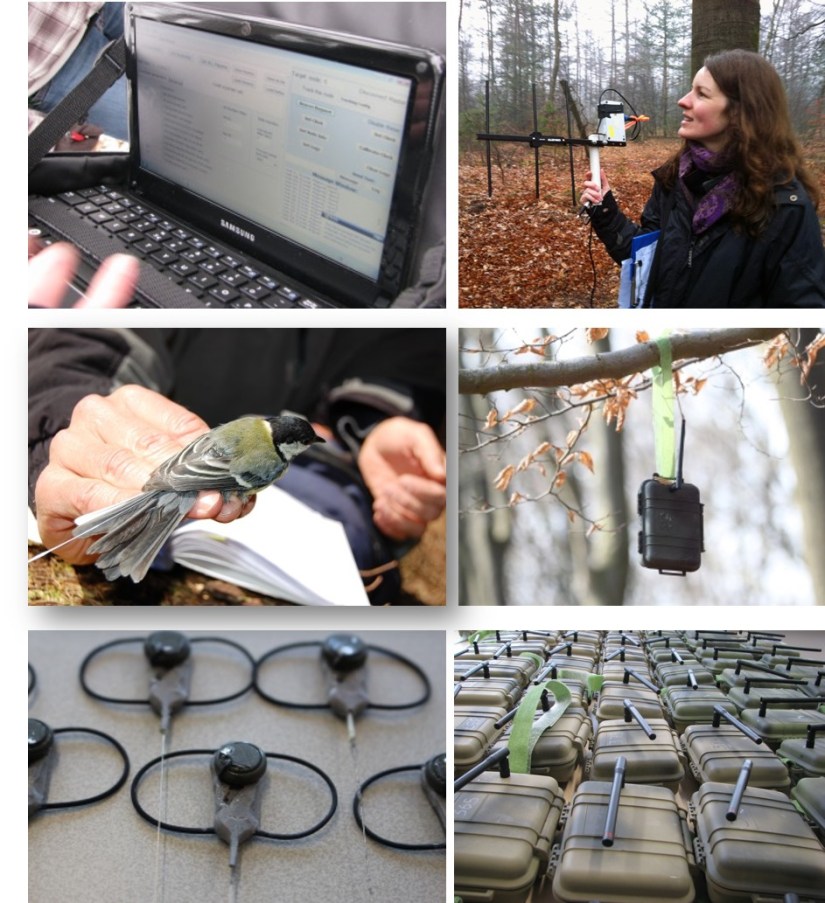 Figure 2 - Soapbox Sciece - Lysanne Snijders