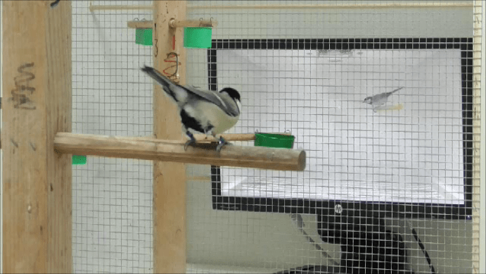 Figure 4 - Soapbox Science - Lysanne Snijders