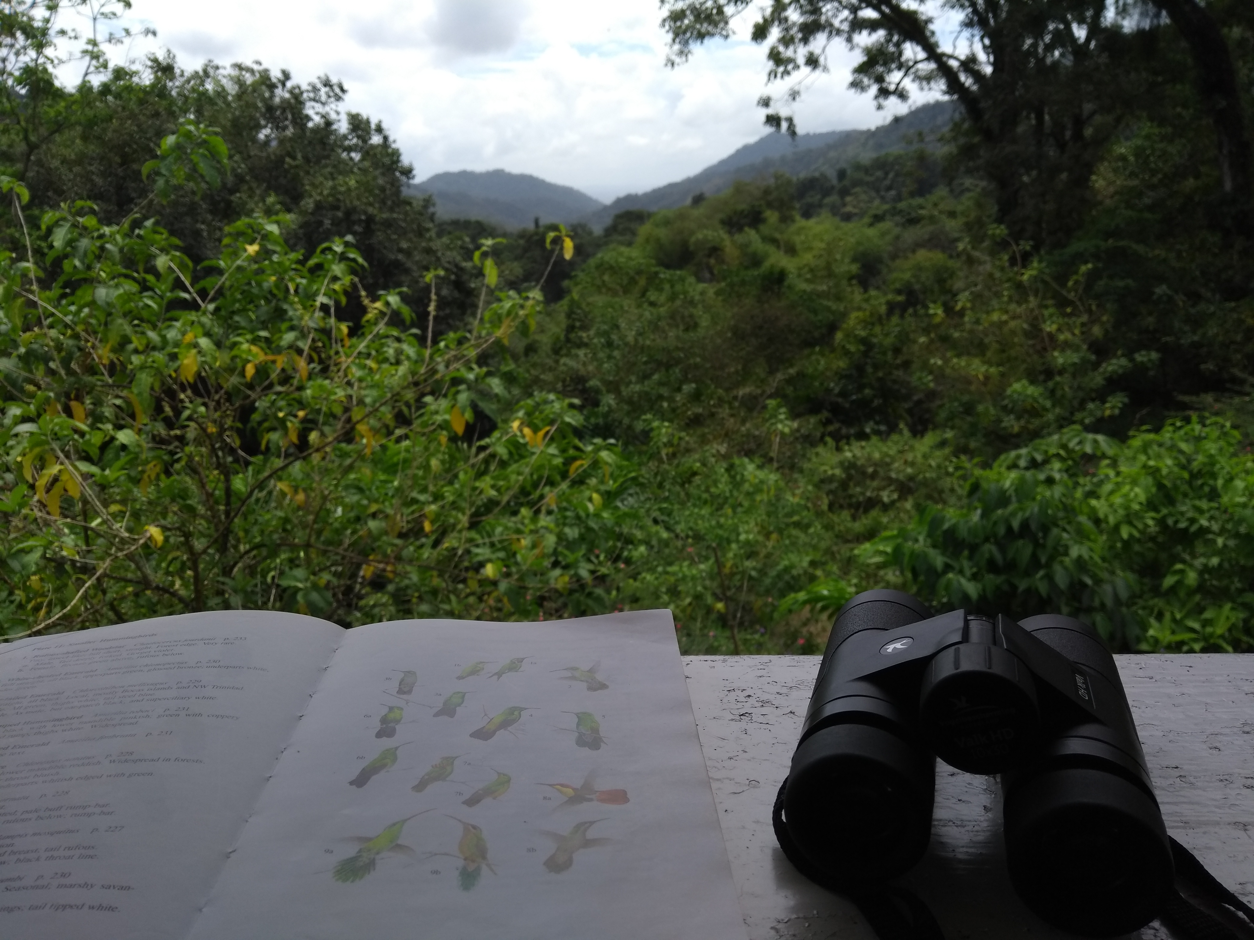 IMG_20180306_121215647